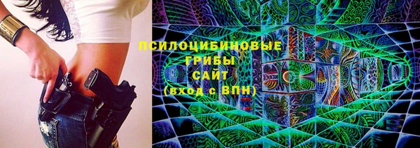 прущие грибы Белокуриха