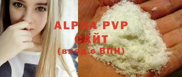 прущие грибы Белокуриха
