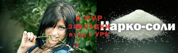 прущие грибы Белокуриха