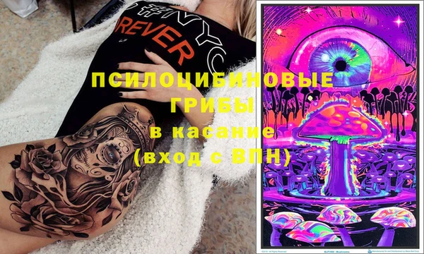 прущие грибы Белокуриха
