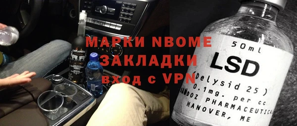 прущие грибы Белокуриха